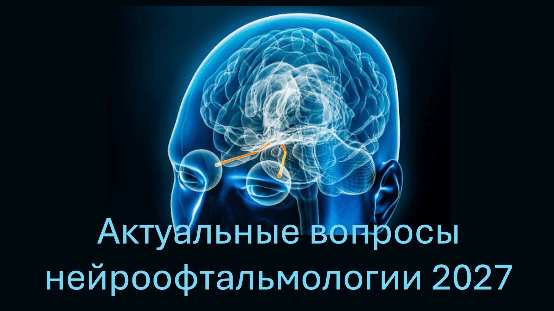 Актуальные вопросы нейроофтальмологии 2027